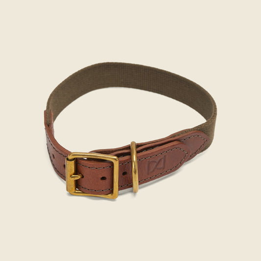 Webbing Dog Collar