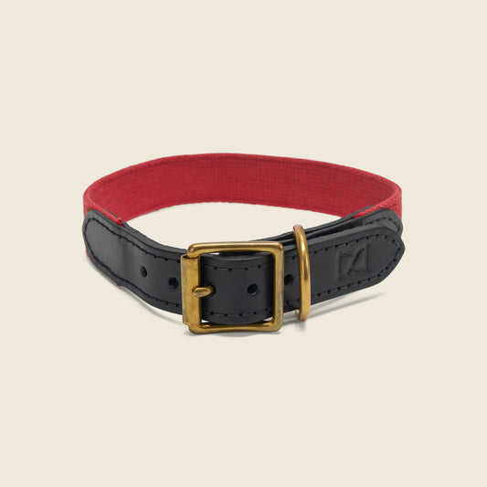 Webbing Dog Collar