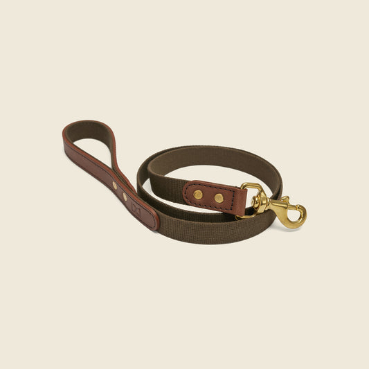 Webbing Dog Lead