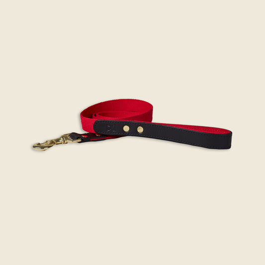 Webbing Dog Lead